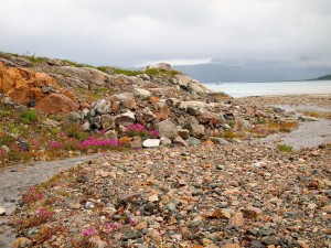 ann -A stream flowing from Reid Glacier into Reid Inlet — at Glacier Bay National Park and Preserve   